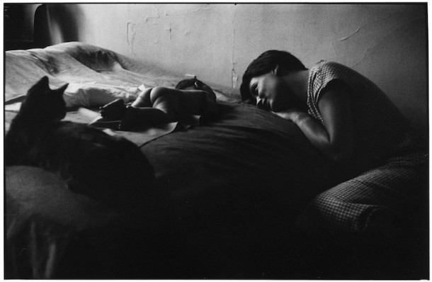 photos Elliott Erwitt 9