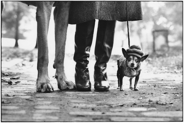 Les photos Elliott Erwitt 1