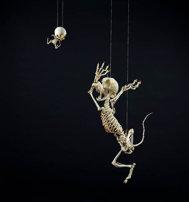Les Sculptures contemporaines 4 Les Sculptures contemporaines 4