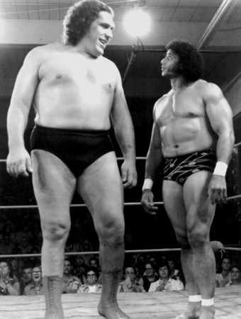 André René Roussimoff dit André The Giant André René Roussimoff dit André The Giant