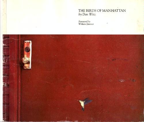 the birds of Manhattan by Dan Witz 1983