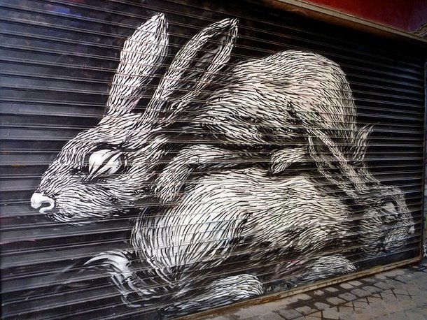 Street Art Roa 12