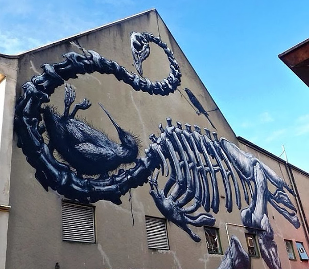 ROA in New Zealand for the Rise Street Art Festival