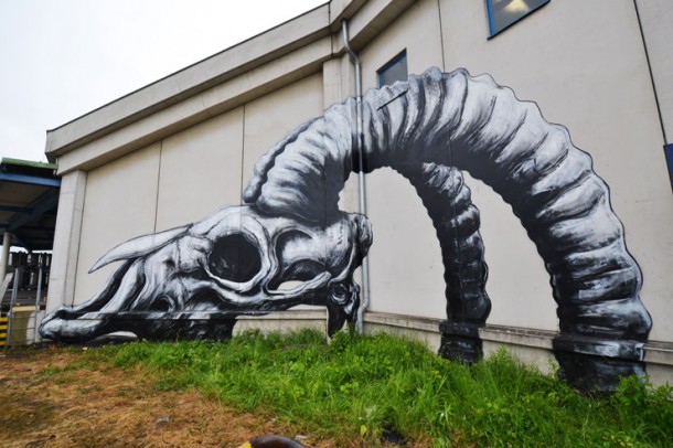 Street Art Roa 08