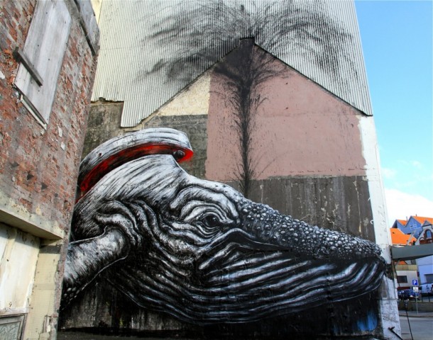 ROA at the NUART Festival 2013