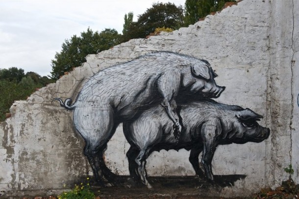 Street Art Roa 04