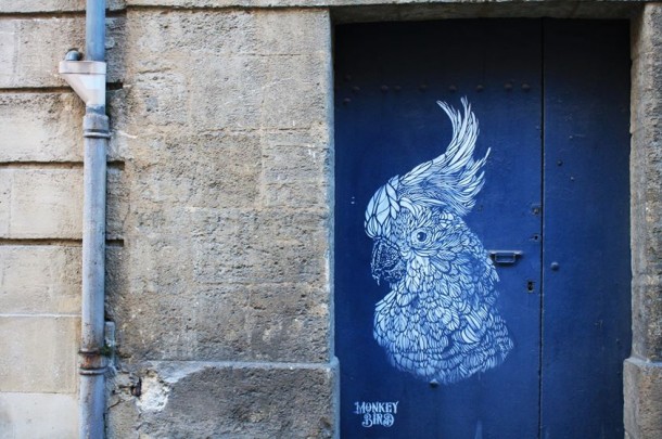 Monkey bird art urbain 5