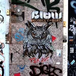 Monkey bird art urbain 2