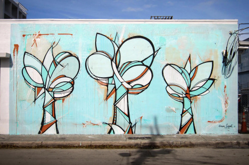 Urban Tree , Wynwood District, Miami 2014